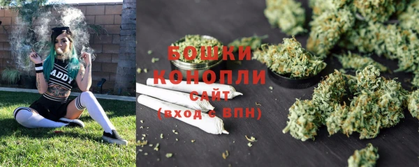 винт Галич